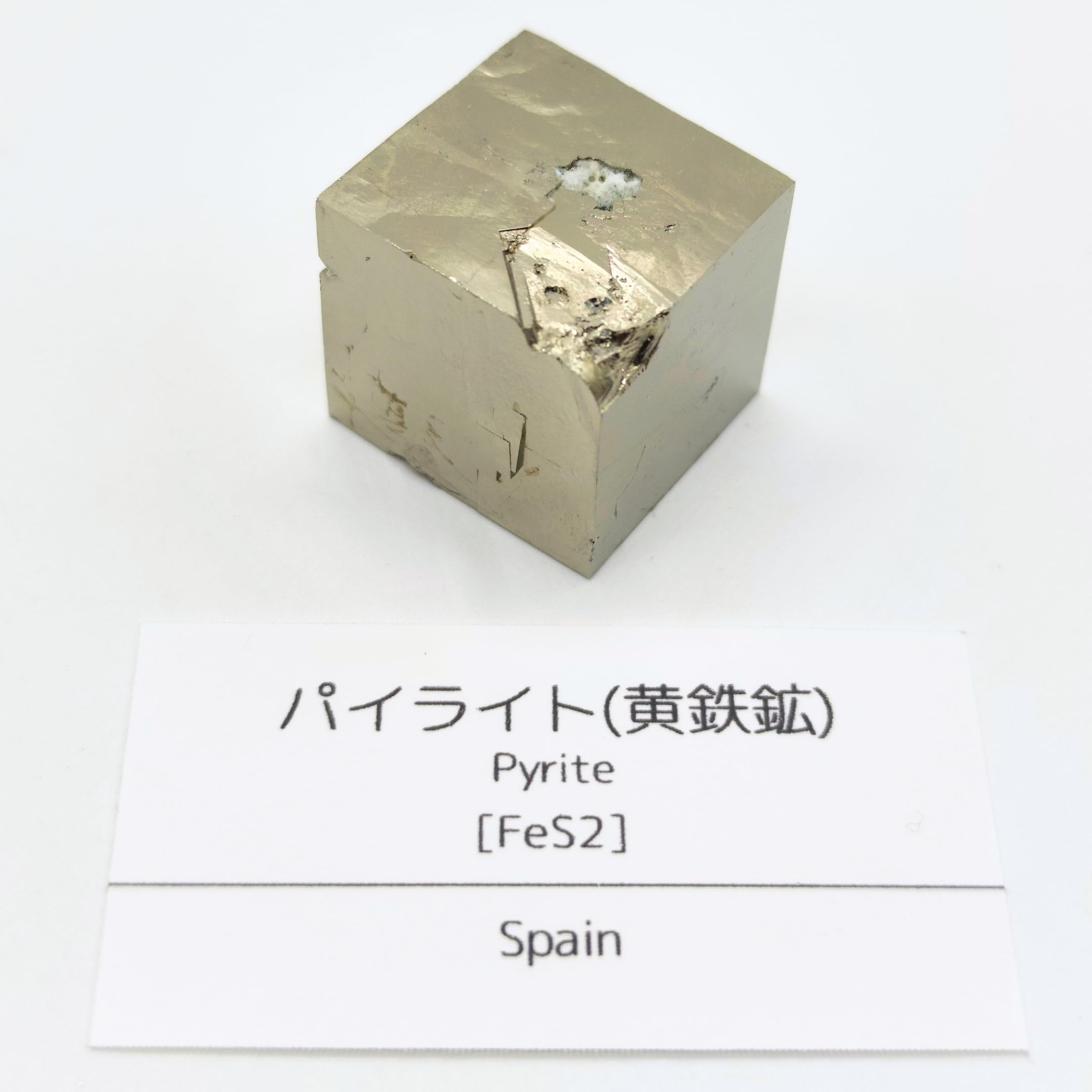 Amazon | つくしサイエンス パイライト 黄鉄鉱 40g 原石 結晶 鉱物標本