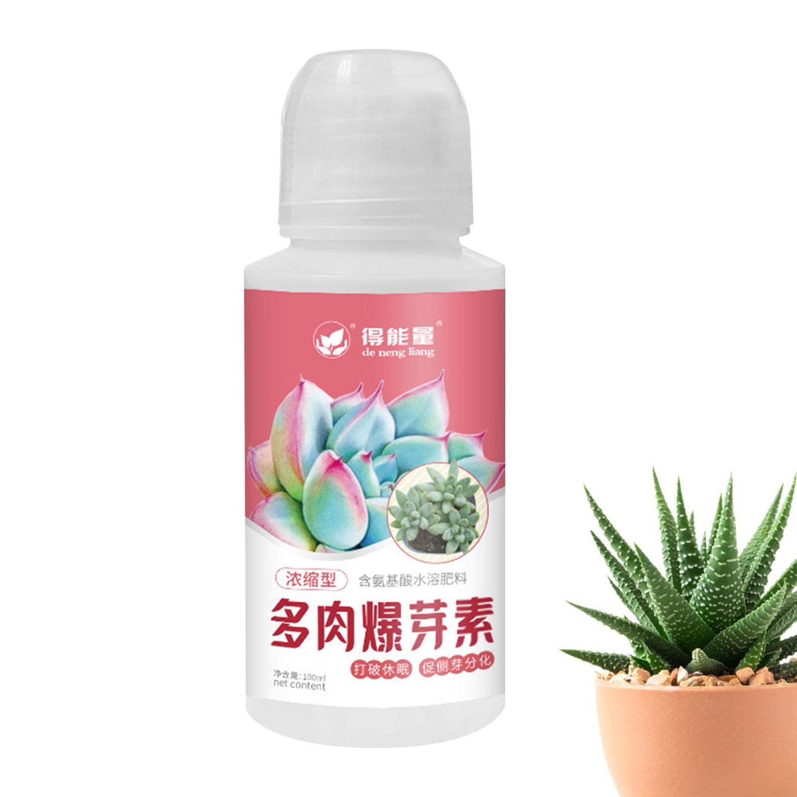 Amazon.co.jp: SAEYZ 植物の根刺激剤 多肉植物専用養液植物サボテン