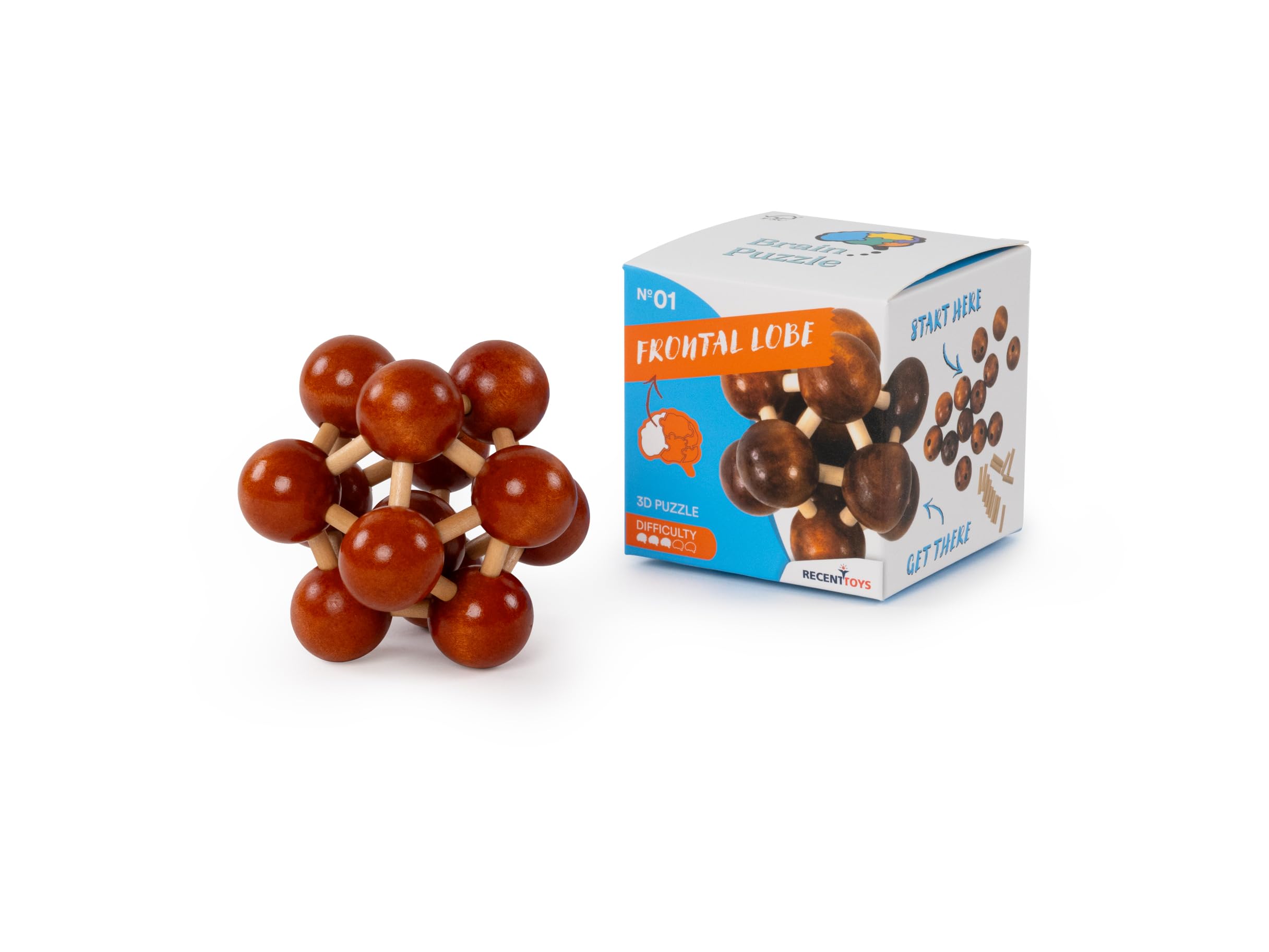 Brain Puzzle Frontal Lobe, wooden 3d brainteaser puzzle