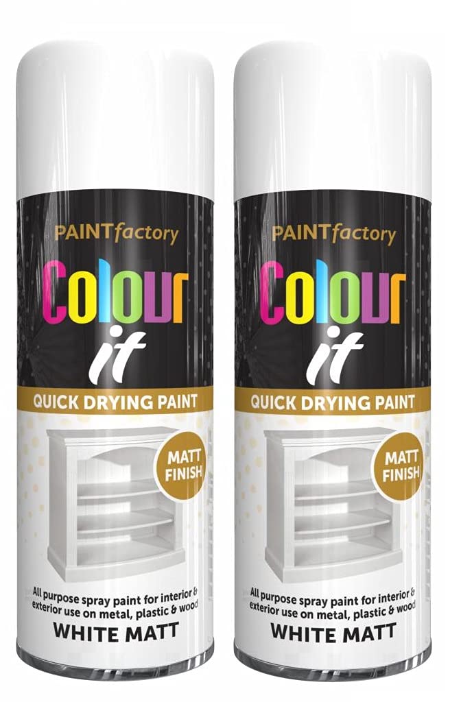 Paint Factory Colour It Quick Drying Spray Paint 400ML (2, White Matt)