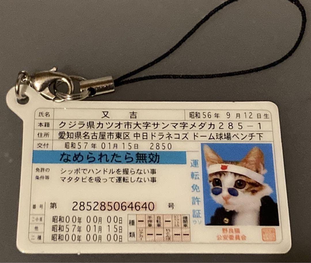 Amazon.co.jp: 元祖なめ猫 なめんなよ なめねこ 昭和レトロ 免許証