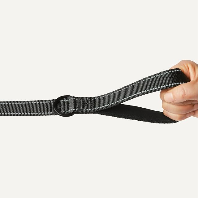 Foto 3 de 5 de Amazon Basics Correa para Perros con Dos Asas Acolchadas y Anillo en D de 182.9cm