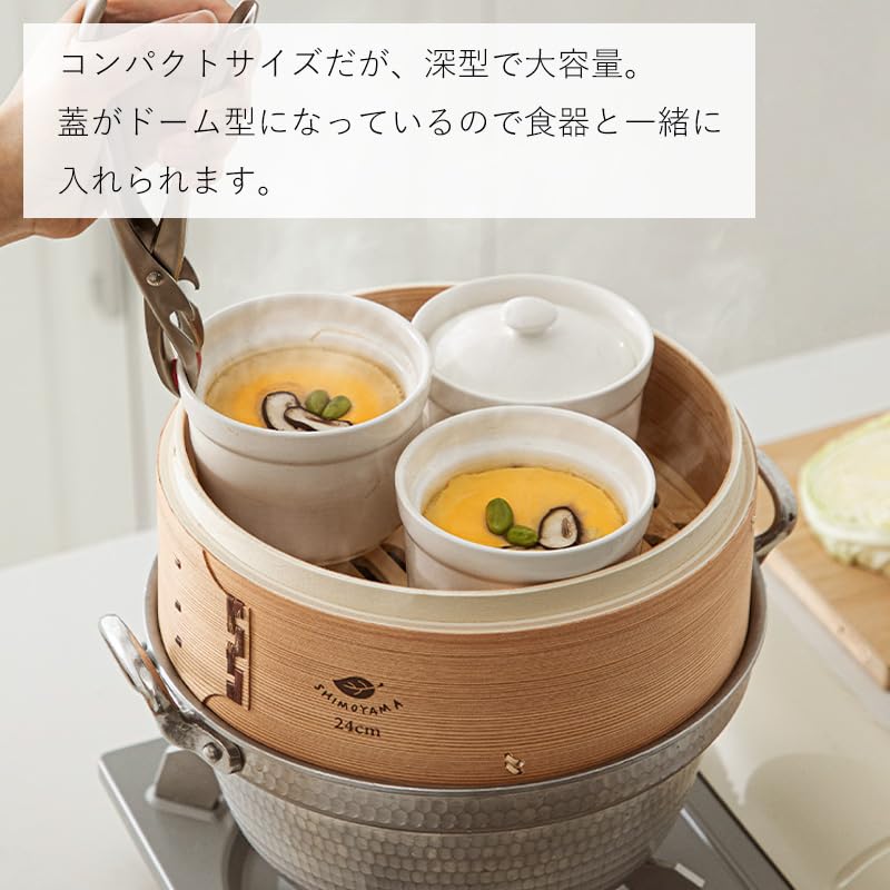 AJ-Antunes 400K123 Roundup Blower Kit, 120V