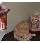 Review Image by One Honest Reviewer One Honest Reviewer