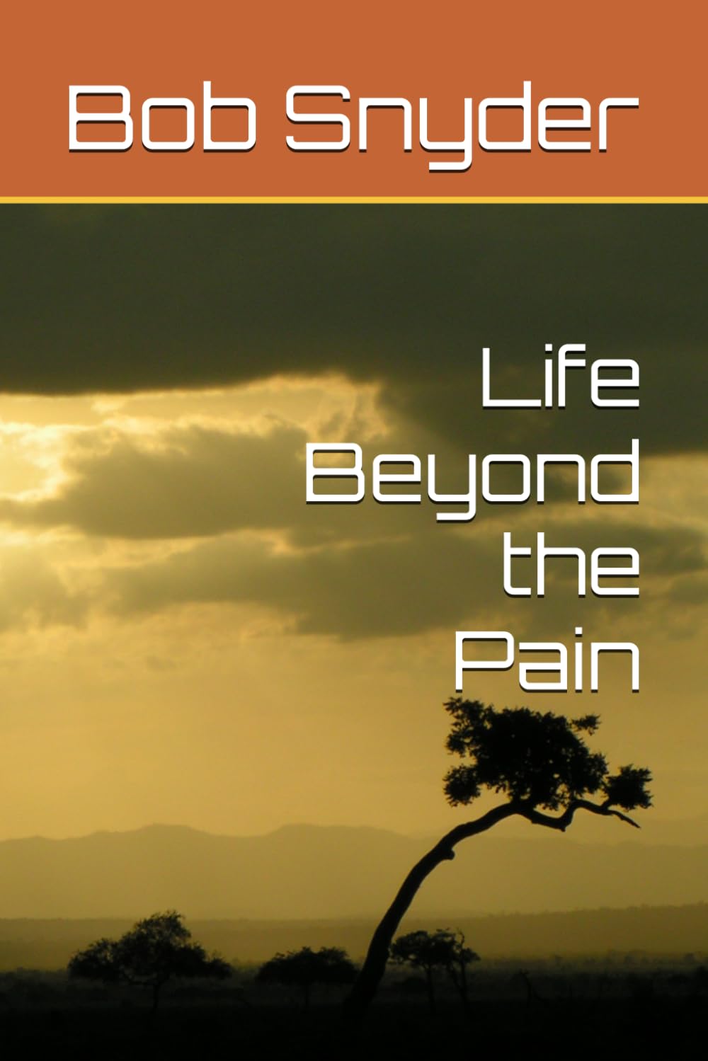 Life Beyond the Pain
