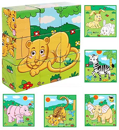 Image of FunBlast 6-in-1 Wooden Block Puzzle for Kids, 9-Pcs Colorful Wooden Block Toy for Kids, Picture Puzzle- Multi Color