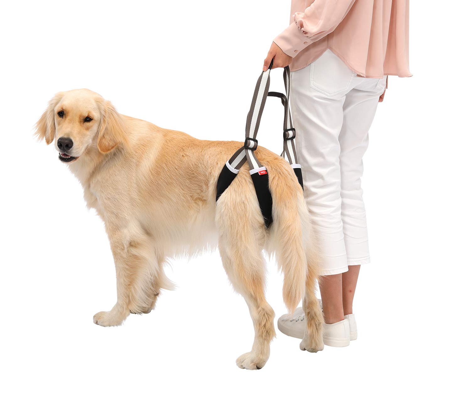 ☆ With ウィズ 歩行補助ハーネスLaLaWalkST ーツ 犬 F 510 Amazon | With(ウィズ) 歩行補助ハーネス LaLaWalk 中型犬・コーギー用