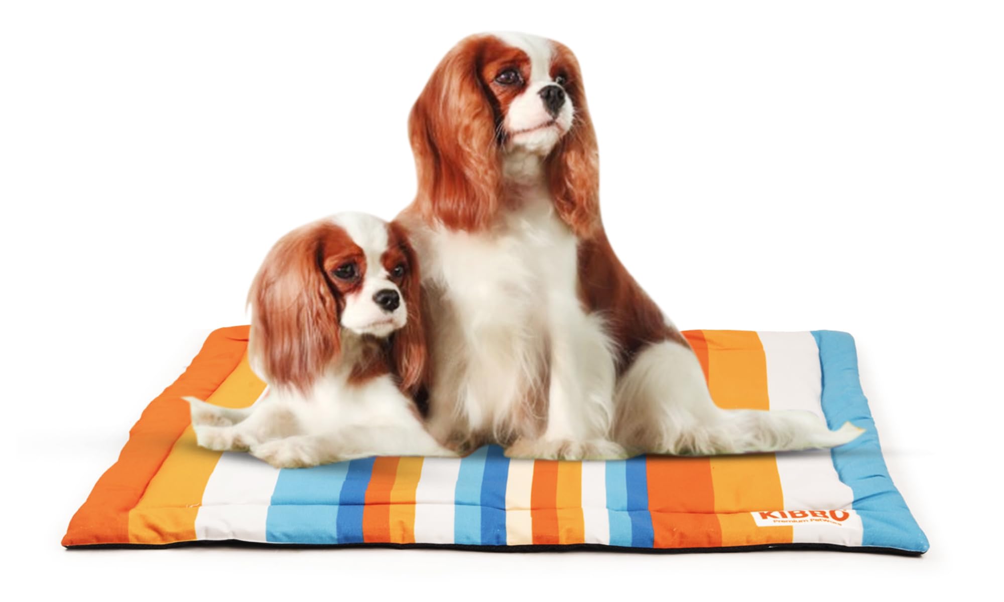 See full amazon price history chart for KIBBO Pet Mat for Dogs and Cats | Lightweight and Portable | Durable, Washable, Anti Slip Base and Stripe Design | Suitable for Small & Medium Breeds, Blue (99x68.5 CM) KIBBO Pet Mat for Dogs and Cats | Lightweight and Portable | Durable, Washable, Anti Slip Base and Stripe Design | Suitable for Small & Medium Breeds, Blue (99x68.5 CM) (B0D2Y6QT1F) Amazon Price History, Amazon Price Tracker