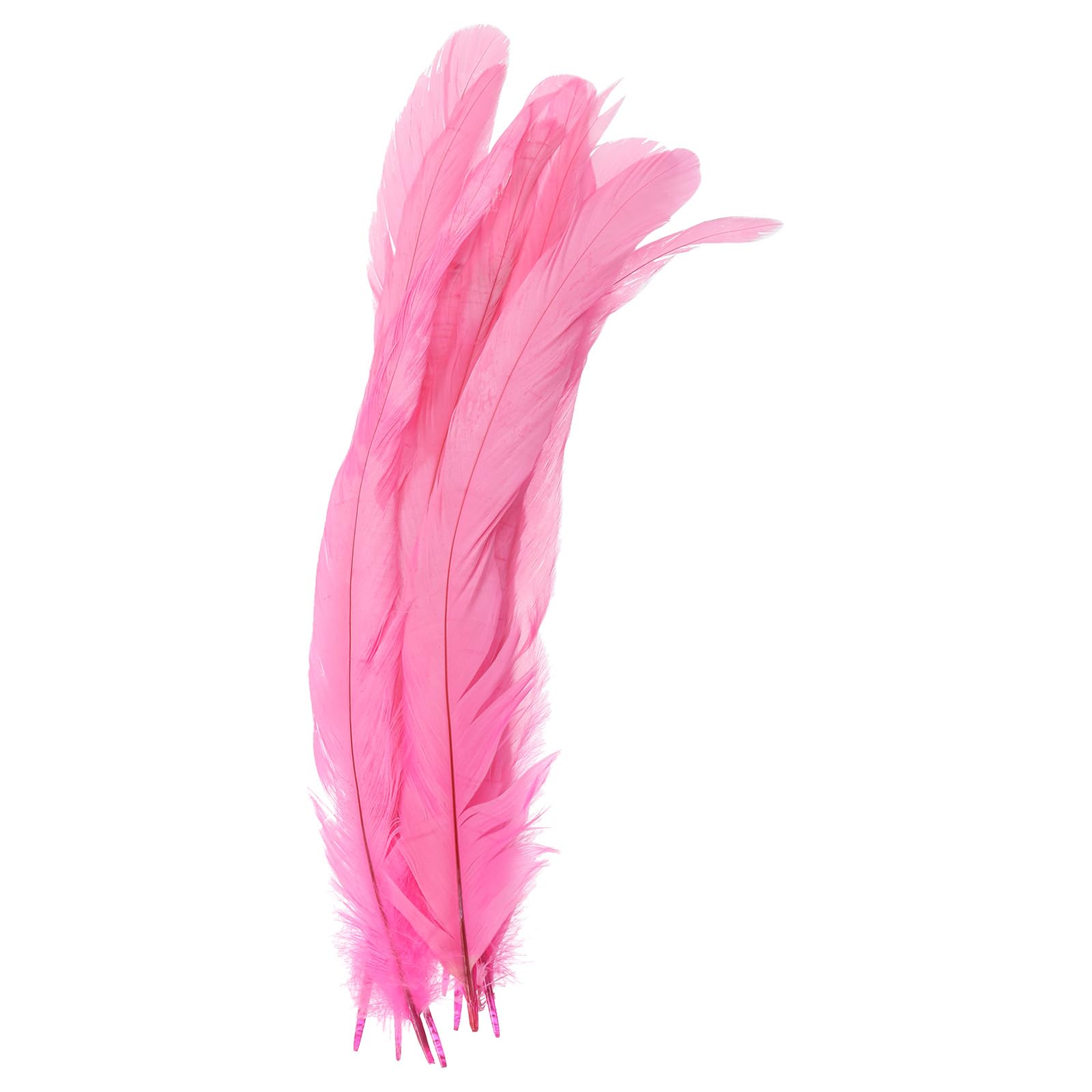 PATIKIL 10-12 Inch Rooster Feathers