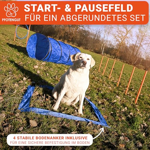 PFOTENGUT® Agility Set Hunde [11-TLG.] - vielseitiges Steckhürden-Set mit Hundetunnel, Slalom & Co. für Hundetraining und Hundesport - inkl. Zubehör & Transport-Tasche