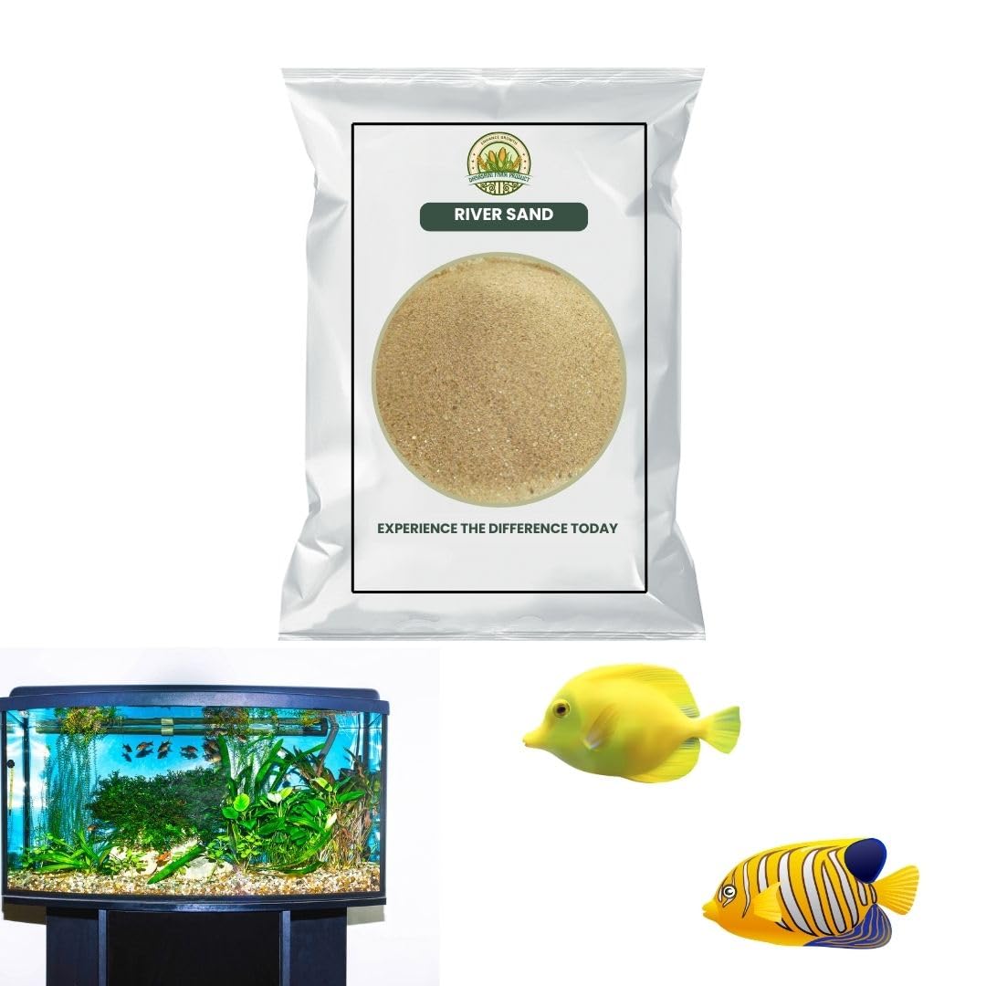 1 KG| River Sand | for Home Gardening and Aquarium | All Indoor and Outdoor Plants & Fish Tank Air Purifier Live Indoor Plant Outdoor Plant Decor Live Plant 2