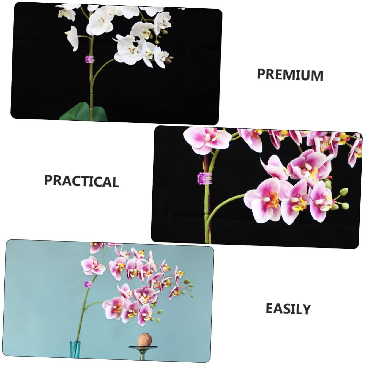 Gatuida 10 Ensembles Agrafe D'orchidée Clip De Support pour Plantes Grimpantes Clips De Support pour Plantes Piquets De Support pour Plantes Propagation Clips De Jardinage 120 Pièces * 10