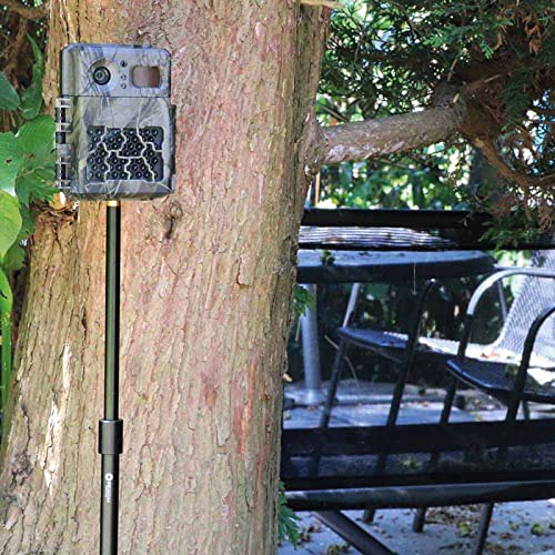 Foto von SECACAM Erdspieß - Bankstick mit 1/4 Zoll Gewinde 70 cm - 110 cm Aluminium Einbein Stativ wasserfest Erdstativ Bodenstativ Wildkamera Stativ Wetterfest