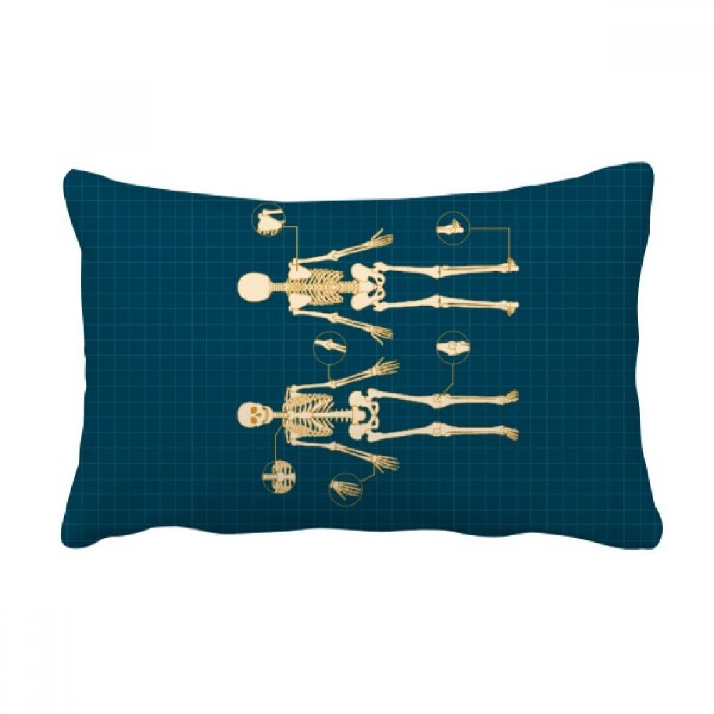 Coussin squelette humain multicolor grand oreiller lombaire de 16x24 pouces