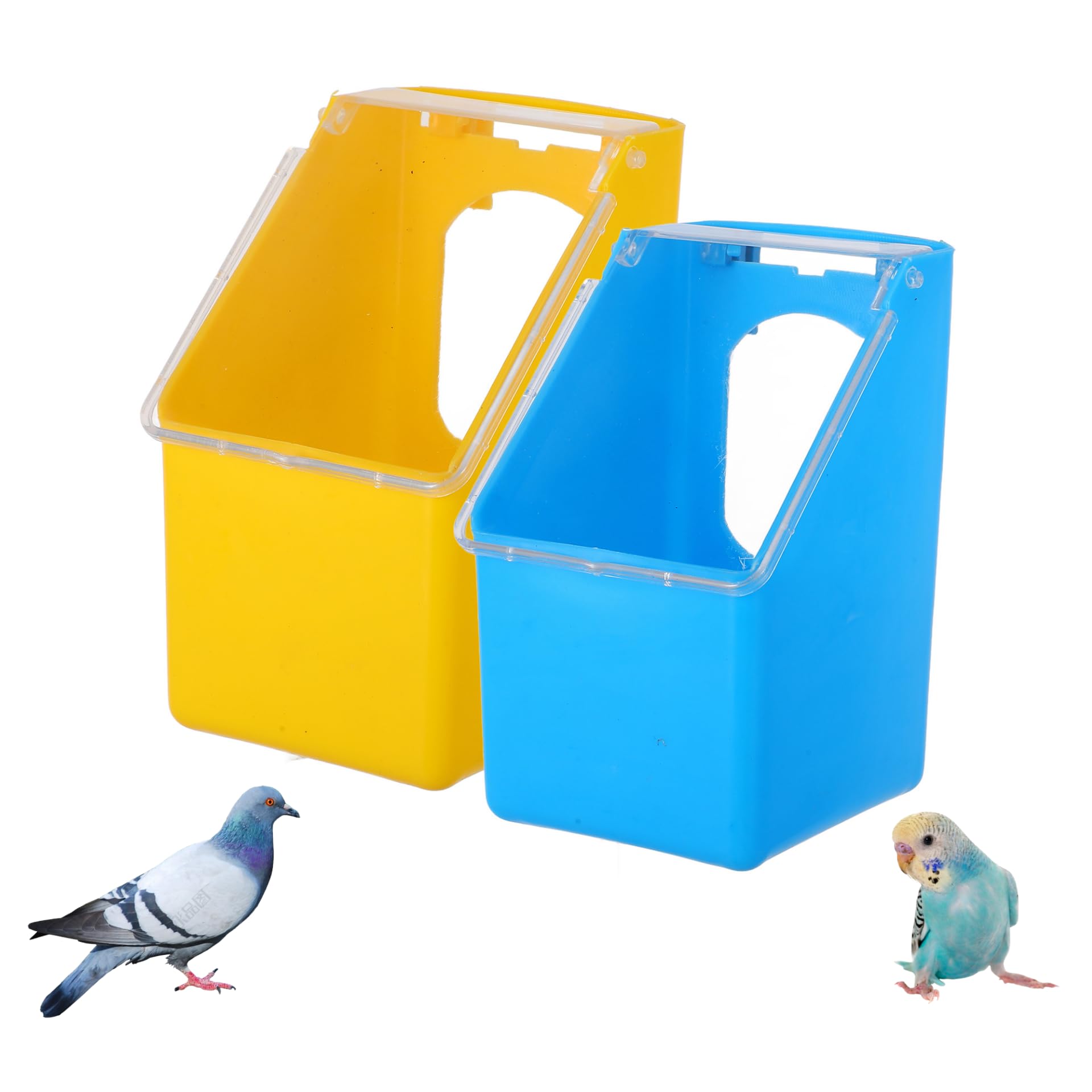 Mangeoire pour oiseaux suspendue et distributeur eau pigeon