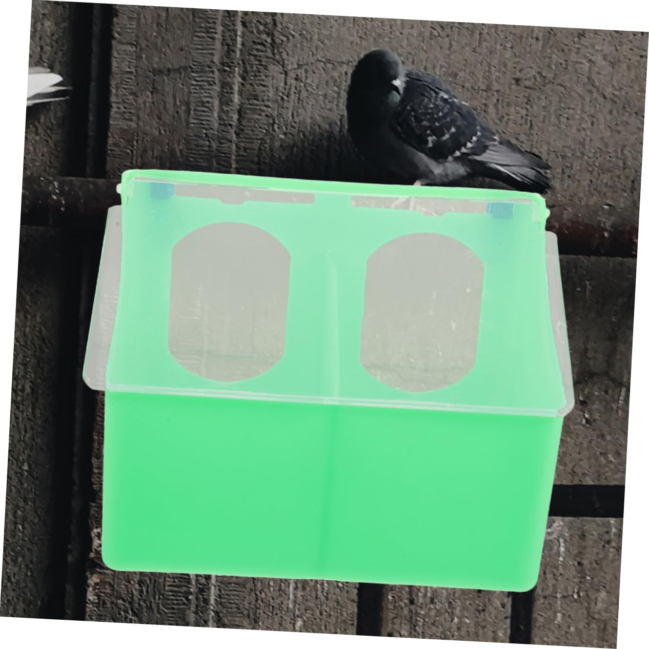 Comedero Colgante Multifuncional de Plástico Verde 3 Piezas | Jaula de Pájaros, Diseño de Doble Orificio Tapa, Apto para Aves Pequeñas, Resistente al Desgaste
