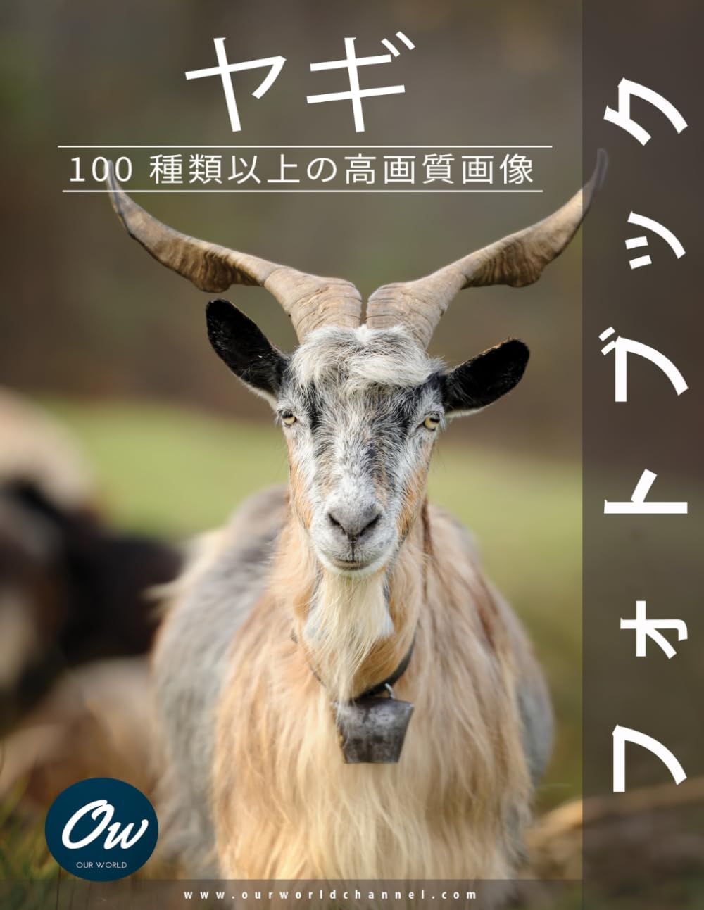 古のヤギ角　4枚セット　（日本語版３枚・英語版１枚） ヤギ: フォトブック | わたしたちの世界, ア・アレト |本 | 通販 | Amazon