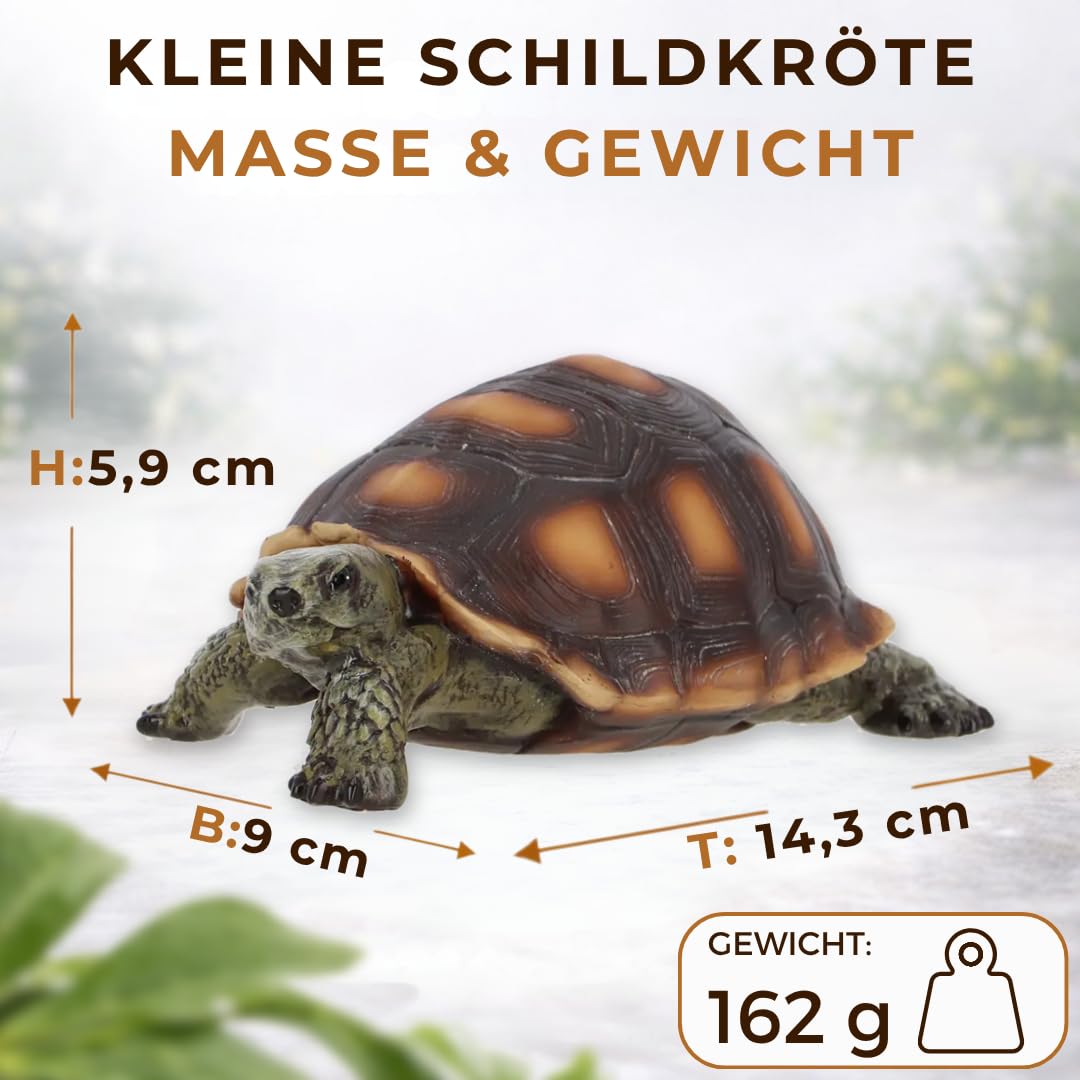 Petite figurine de jardin tortue – Décoration de jardin en polyrésine pour jardin, terrasse et balcon – Résistante au gel et aux UV – Figurine animale pour l'intérieur et l'extérieur
