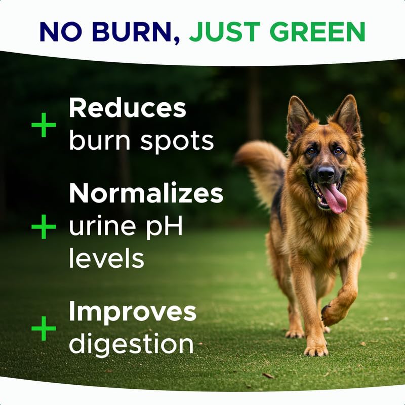 Image of Green Grass Dog Chews for Lawn Protection - Dog Urine Neutralizer for Grass Burn Spots - Lawn Restore Treats - Made in USA - 120Ct Soft Chews