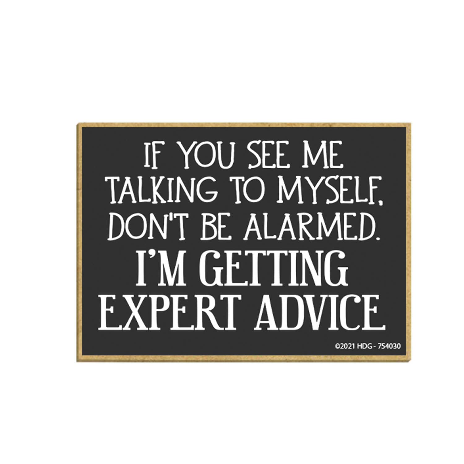 Honey Dew Gifts, If You See Me Talking to Myself I'm Getting Expert Advice, 2.5 Inch by 3.5 Inch, Made in USA, Refrigerator Magnets, Decorative Fridge Magnets, 754030
