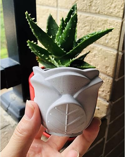 Miniatura 3 de Molde de silicona en forma de rosa para suculentas jarrón de hormigón molde de cactus soporte de velas caja de almacenamiento molde de yeso resina
