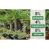 GARDENWISE 10-10-10 All Purpose & 8-4-8 Palm Tree Fertilizer Bundle; Quick-Release Nitrogen, Shrub, Tree & Lawn (1 & 2 Quart)