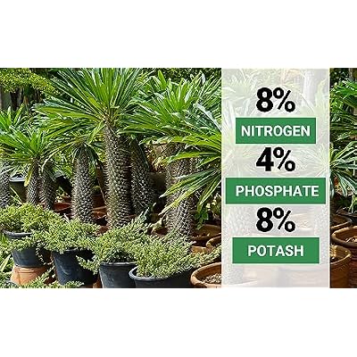 GARDENWISE 10-10-10 All Purpose & 8-4-8 Palm Tree Fertilizer Bundle; Quick-Release Nitrogen, Shrub, Tree & Lawn (1 & 2 Quart)