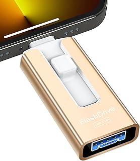 Sunany USB Flash Drive 256 GB for Phone and Pad, High Speed External Thumb Drives USB Memory Storage Photo Stick for Save More Photos and Videos (Gold)