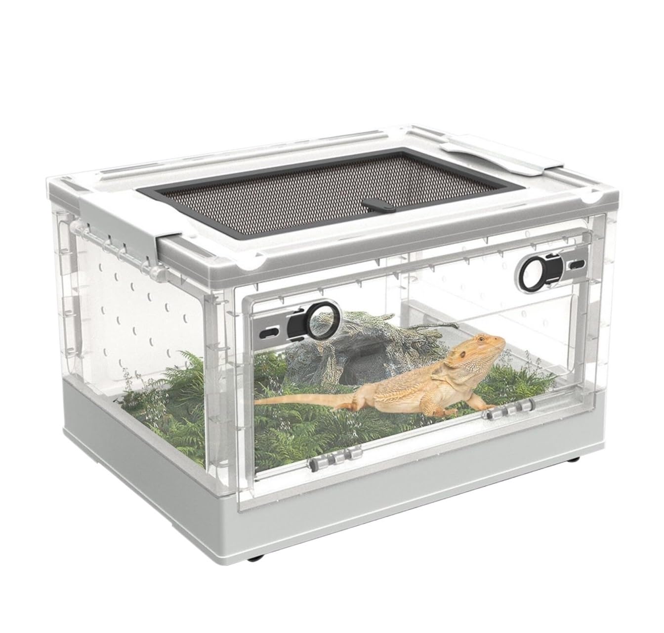 Boîte d'alimentation reptiles blanche 39.5cm pour élevage d'amphibiens