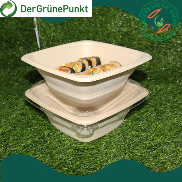 Bagasse - Lot de 50 bols rectangulaires avec couvercle - 1 l - Boîtes à emporter biodégradables - Anti-fuite et passent au micro-ondes - Emballage jetable pour restauration, Takeaway et