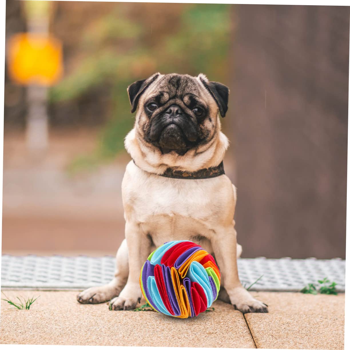 3stücke Creative Pet Chew Toy Bunter Hundesnuffelball Aus Filz Sicher Für Zähne Zum Spielen Futterversteck Für Haustiere Verbessert Koordination Und Zahnreinigung
