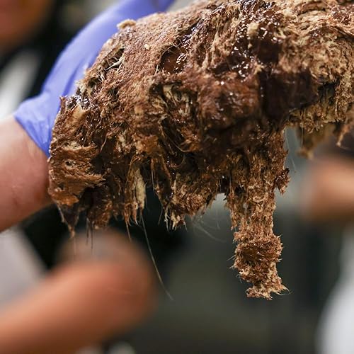 Miniatura 22 de HEBEL & CO Mega Super Bundle 6 halvas diferentes Certificado USDA orgánico, sin gluten, Kosher y vegano