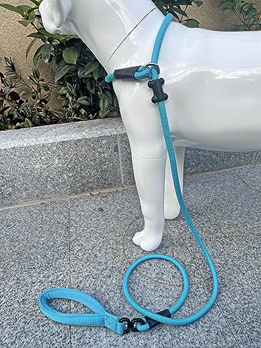 Slip Lead Dog Leash Strong Nylon Rope Leash with Comfortable Handles and Walking Training Lead for Small Medium Large Dogs (Blue - Image 4