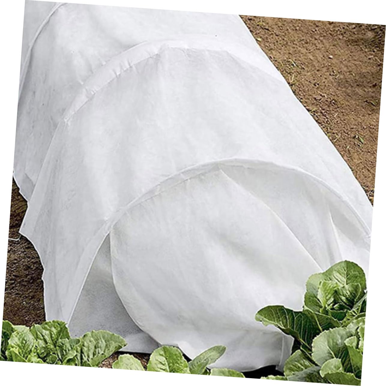 HANABASS Copertura Piante Inverno Non Tessuto Bianco Antigelo | Perenni e Fragole, Isolante e Traspirante, Telo Protettivo per Stagione Fredda