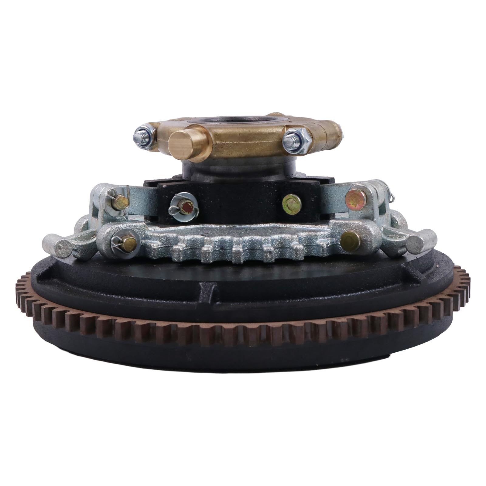 【初回限定】Sukimaswitch in Augusta Camp 2013 31cerNRhjAL.jpg_BO30,255,255,