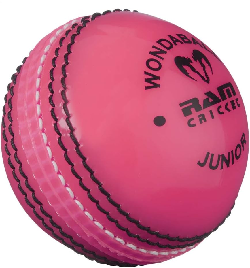 Wondaballs - Coaching Cricket Balls - Box of 6