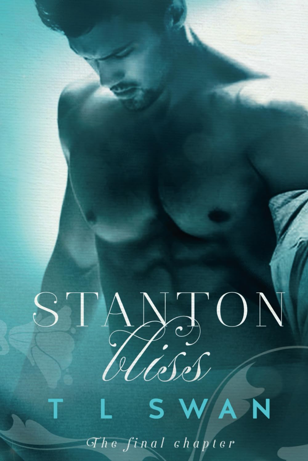 Stanton Bliss: Volume 4 (Stanton Series)