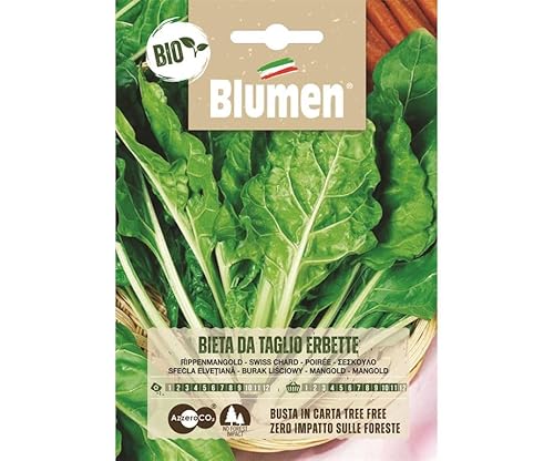 SEMI BIO BIETA DA TAGLIO ERBETTE BLUMEN