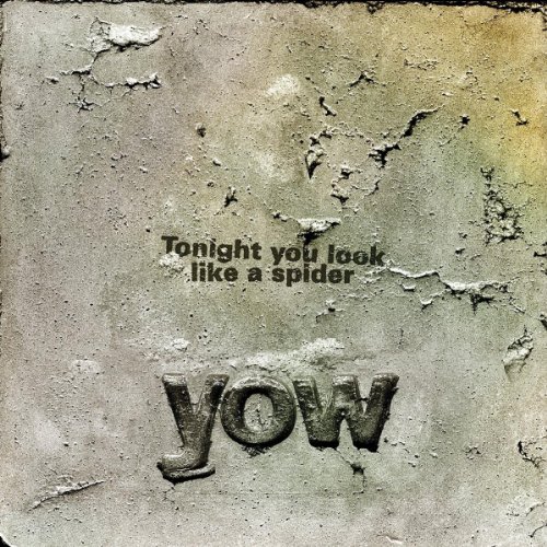 Tonight You.. -CD+DVD-