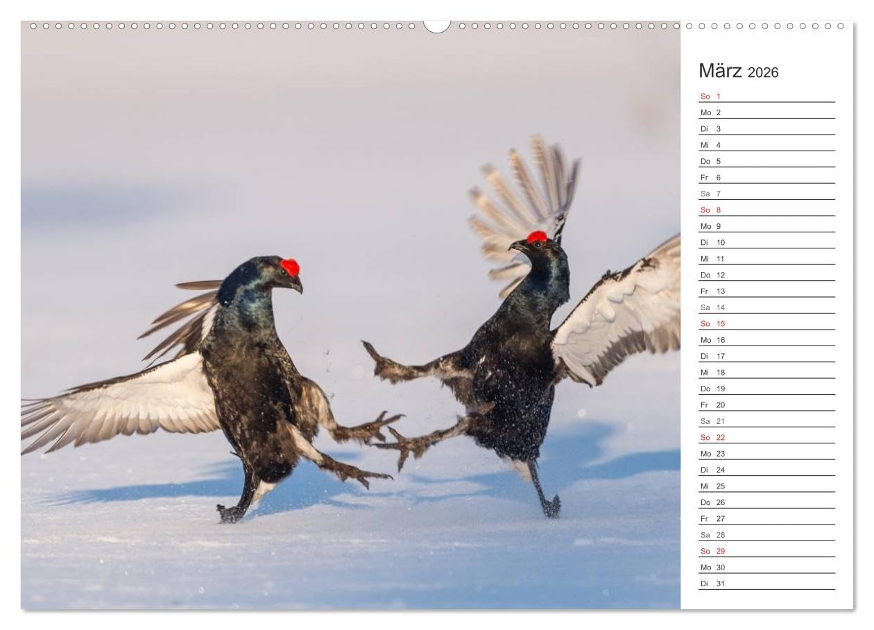 Emotionale Momente: Wild und Jagd. (hochwertiger Premium Wandkalender 2026 DIN A2 quer), Kunstdruck in Hochglanz: Der Planer für alle Jäger und Jagdfreunde. (CALVENDO Hobbys)