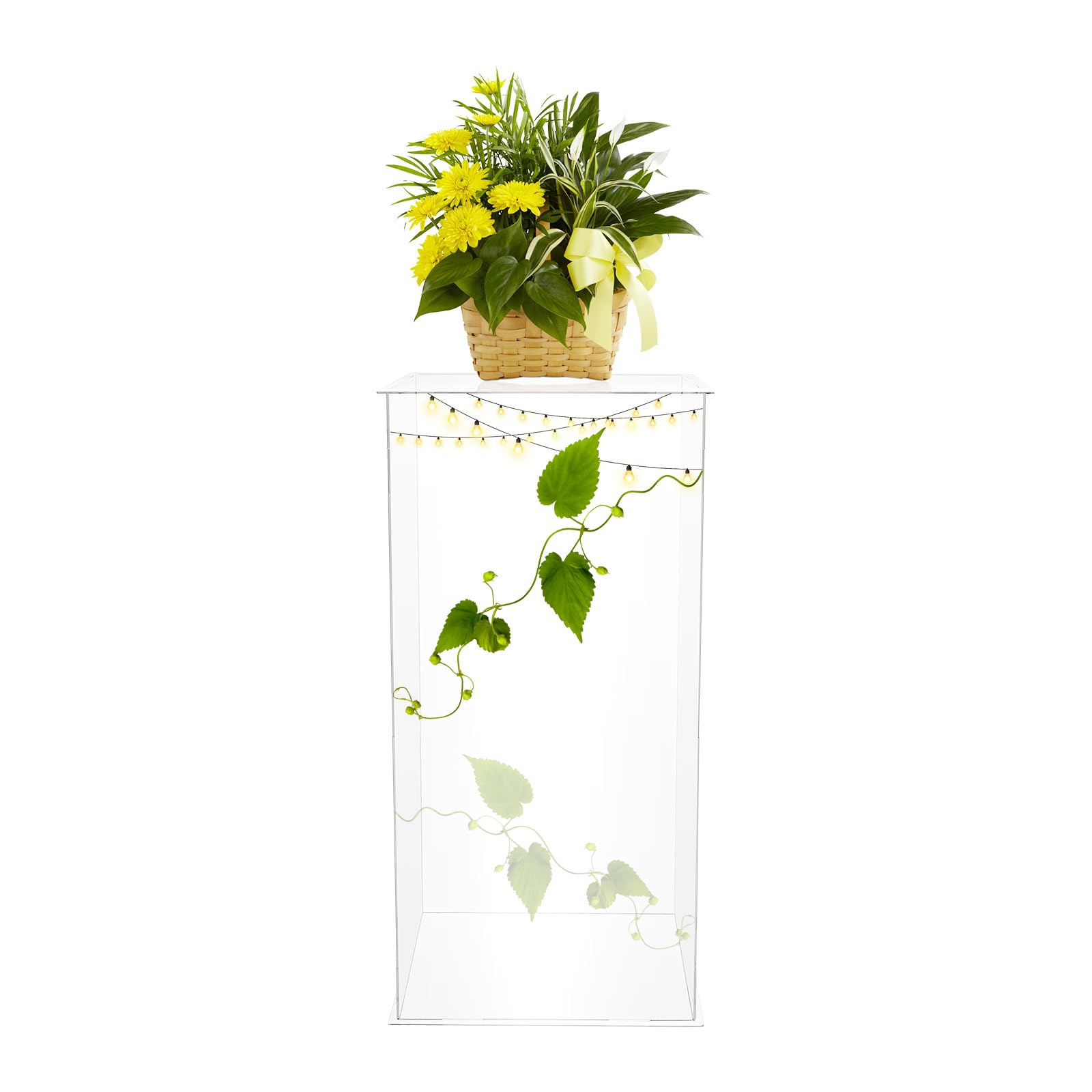 Vetrina acrilica 30 x 30 x 60 cm, trasparente per personaggi da collezione, vetrina da esposizione trasparente con pannelli spessi 3 mm, portata fino a 3 kg, smontabile e resistente alla polvere