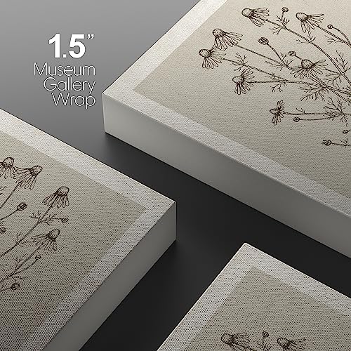 NWT Canvas Print Wall Art Set Retro Vintage Antique Garden Wildflowers Nature Wilderness Illustrations Modern Art Decorative Minimalist Floral Botanical Flowers for Bedroom - 24"x36" x 3 — view 4