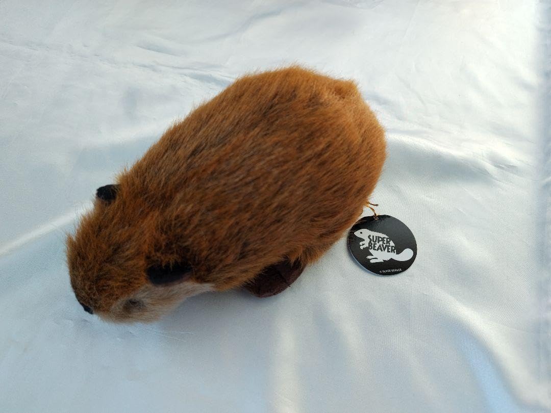 Amazon.co.jp: SUPER BEAVER×吉徳 コラボ スーパービーバー