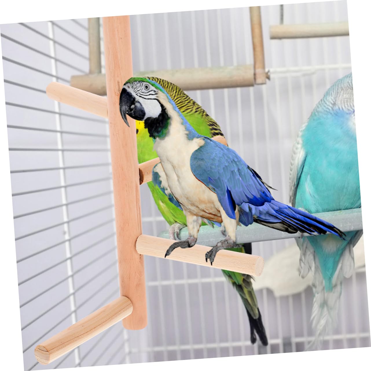 VANZACK 8piezas De Madera para Pájaros Soporte Natural para Periquitos y Aves Percha y para Jaulas De Aves