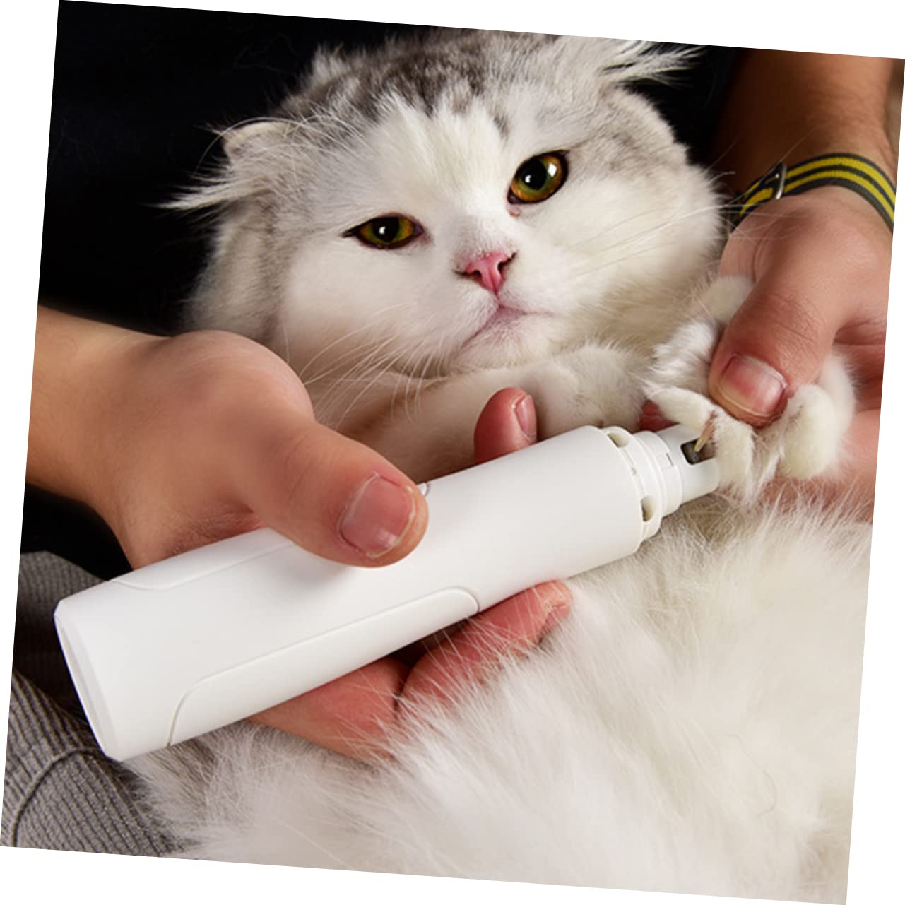 SUPVOX 2pezzi Tagliaunghie Elettrico per Cani e Gatti Rasoio Automatico per Unghie con Lucidatrice Sicura e Silenziosa Strumento di Toelettatura per Animali Domestici Facile da Usare e