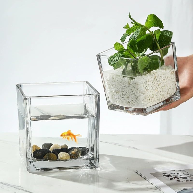 set of 6 square glass vases for centerpieces – 4" x 4" x 4" clear short vases, flower vase, plant terrariums, or candle holders for wedding centerpieces, office decor, home décor, parties 4in-6pcs clear