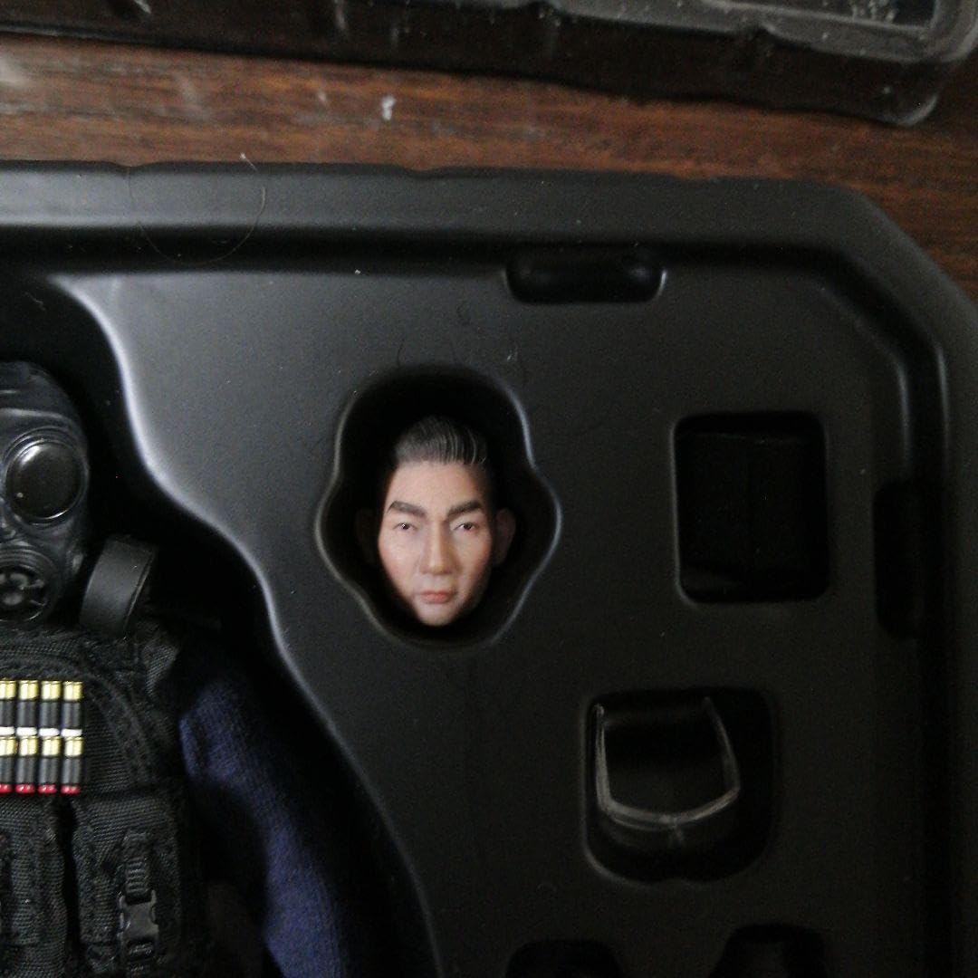 Out of Print damtoys 1/12 SAS CRW Figure, Figures - Amazon Canada