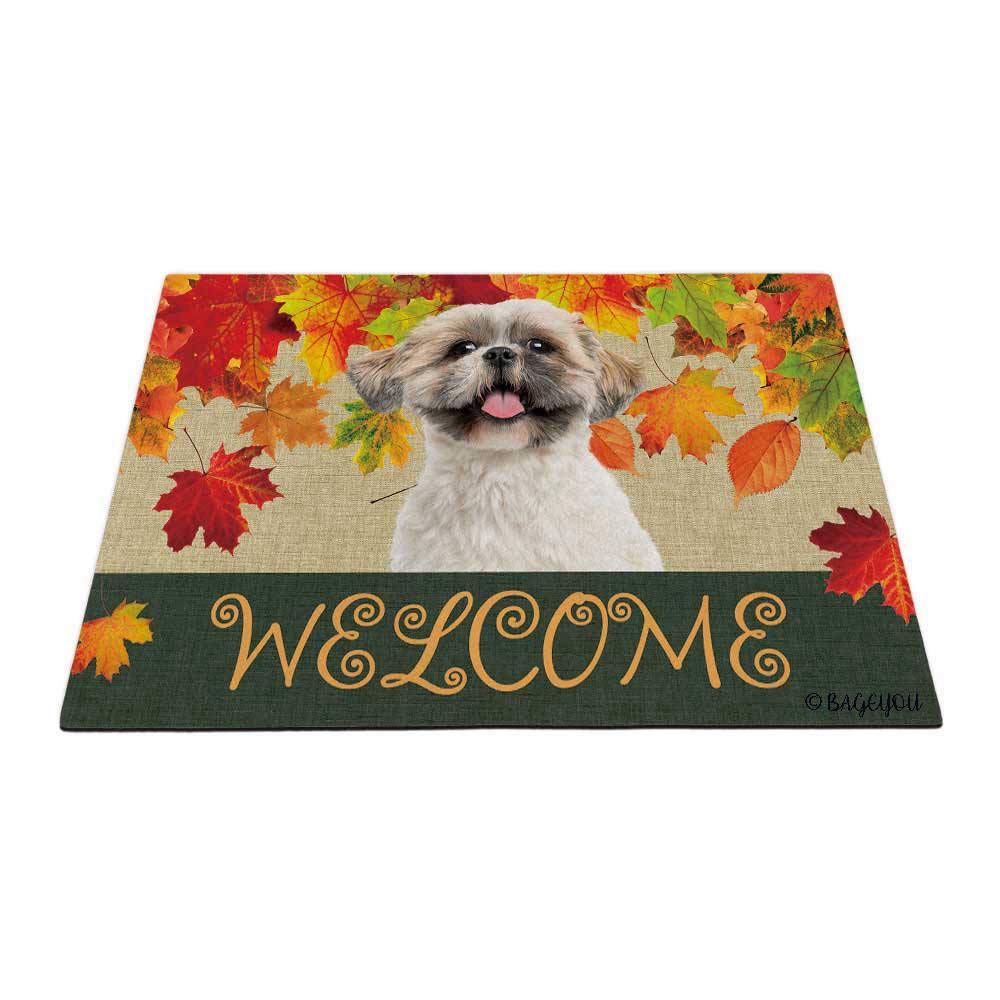 BAGEYOU Welcome Fall with My Favorite Dog Adorable Shih Tzu Outdoor Doormat Maple Leaf Harvest Season Rustic Decor Porch Rugs Floor Mat 23.6" X 15.7" — image 1