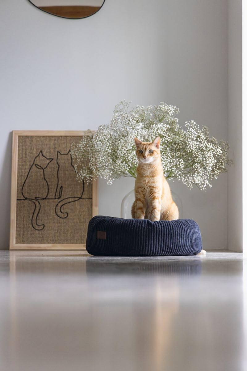 Designed by Lotte Bettchen Ribbed Katzenbett