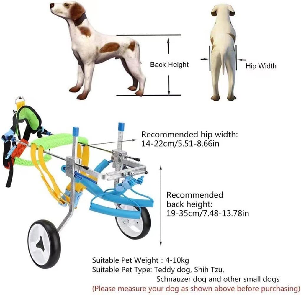 REMEK Sedia A Rotelle per Zampe Posteriori Cani, Carrello per Animali Piccolo/Medio/Grande Pet Walk Assistant per La Riabilitazione delle Zampe Posteriori